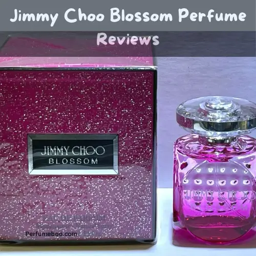 Jimmy Choo Blossom Perfume Reviews1