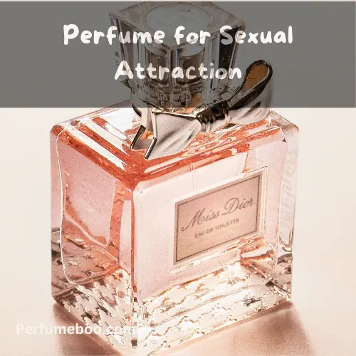 Perfume for Sexual Attraction1 1
