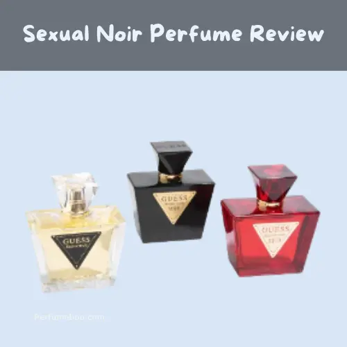 Sexual Noir Perfume Review2