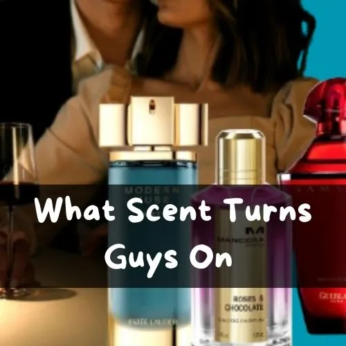 What Smells Arouse a Man1