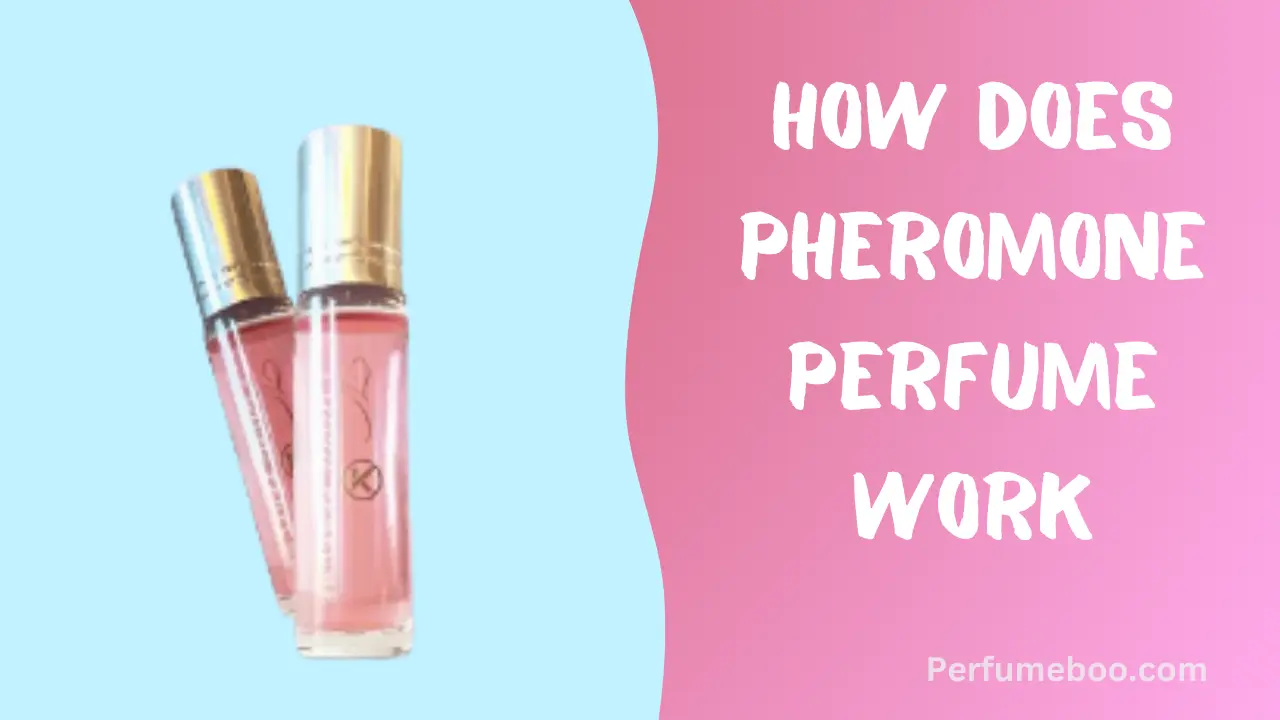 How Does Pheromone Perfume Work
