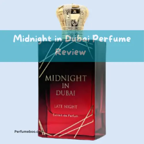 Midnight in Dubai Perfume Review1