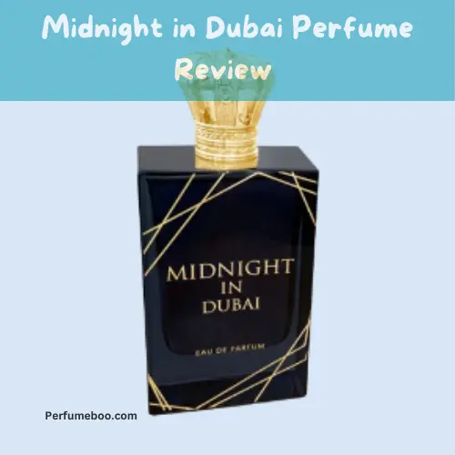 Midnight in Dubai Perfume Review4