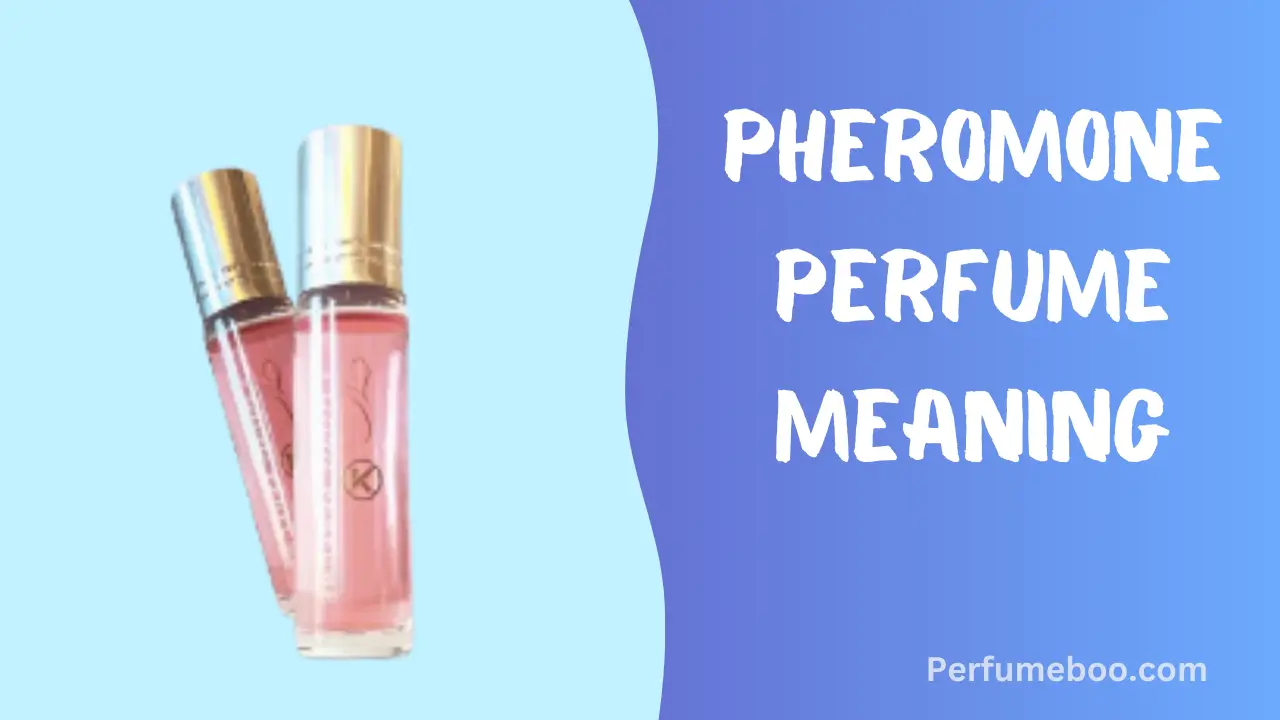 Pheromone Perfume Meaning