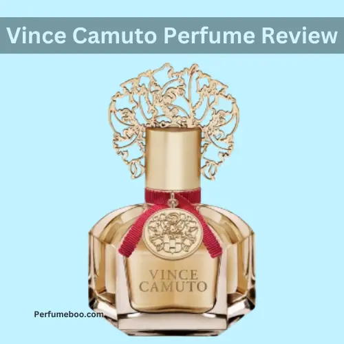 Vince Camuto Perfume Review3 1