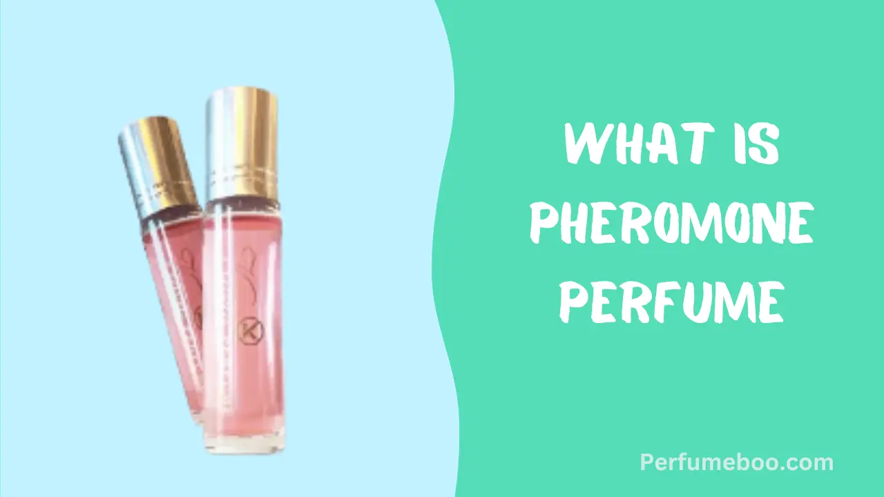 What Is Pheromone Perfume