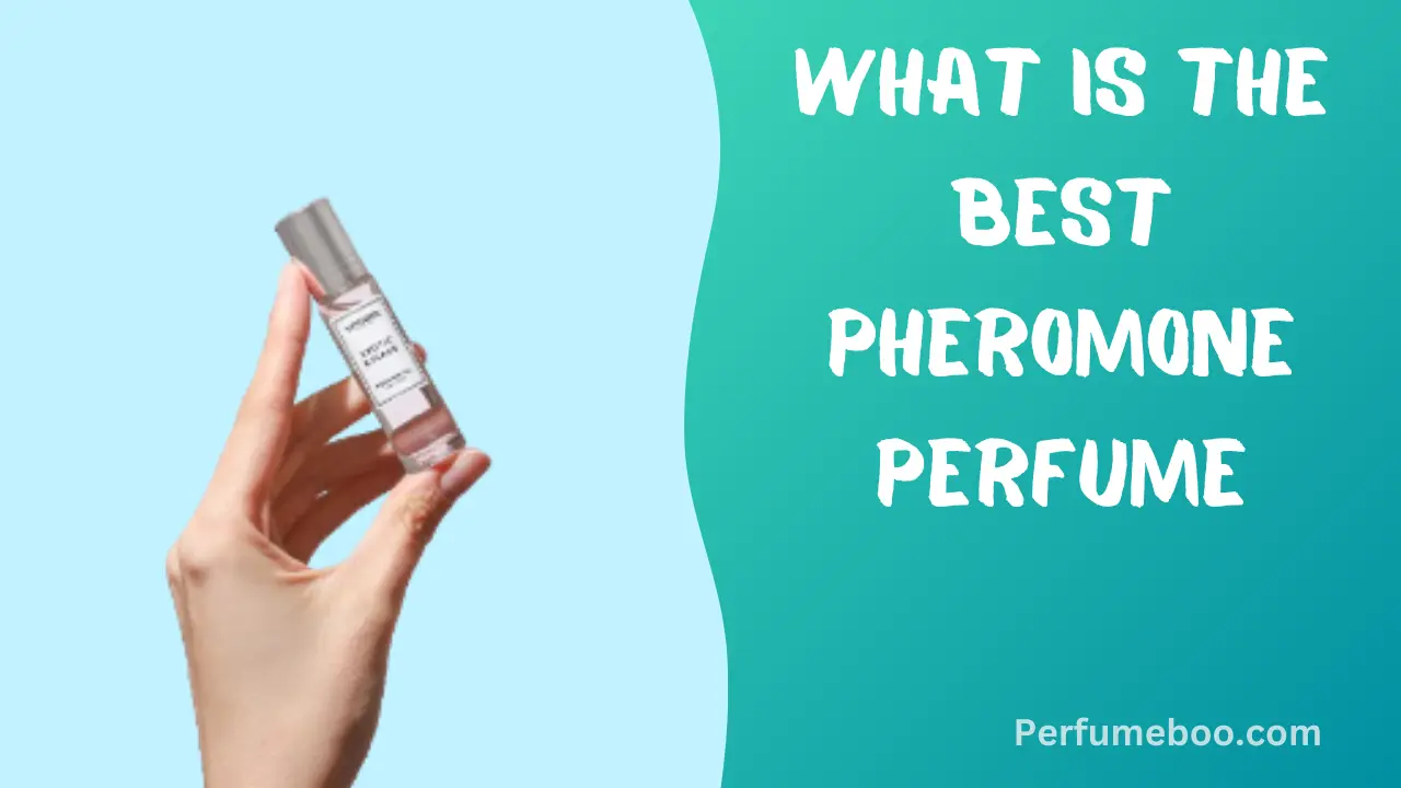 What Is The Best Pheromone Perfume