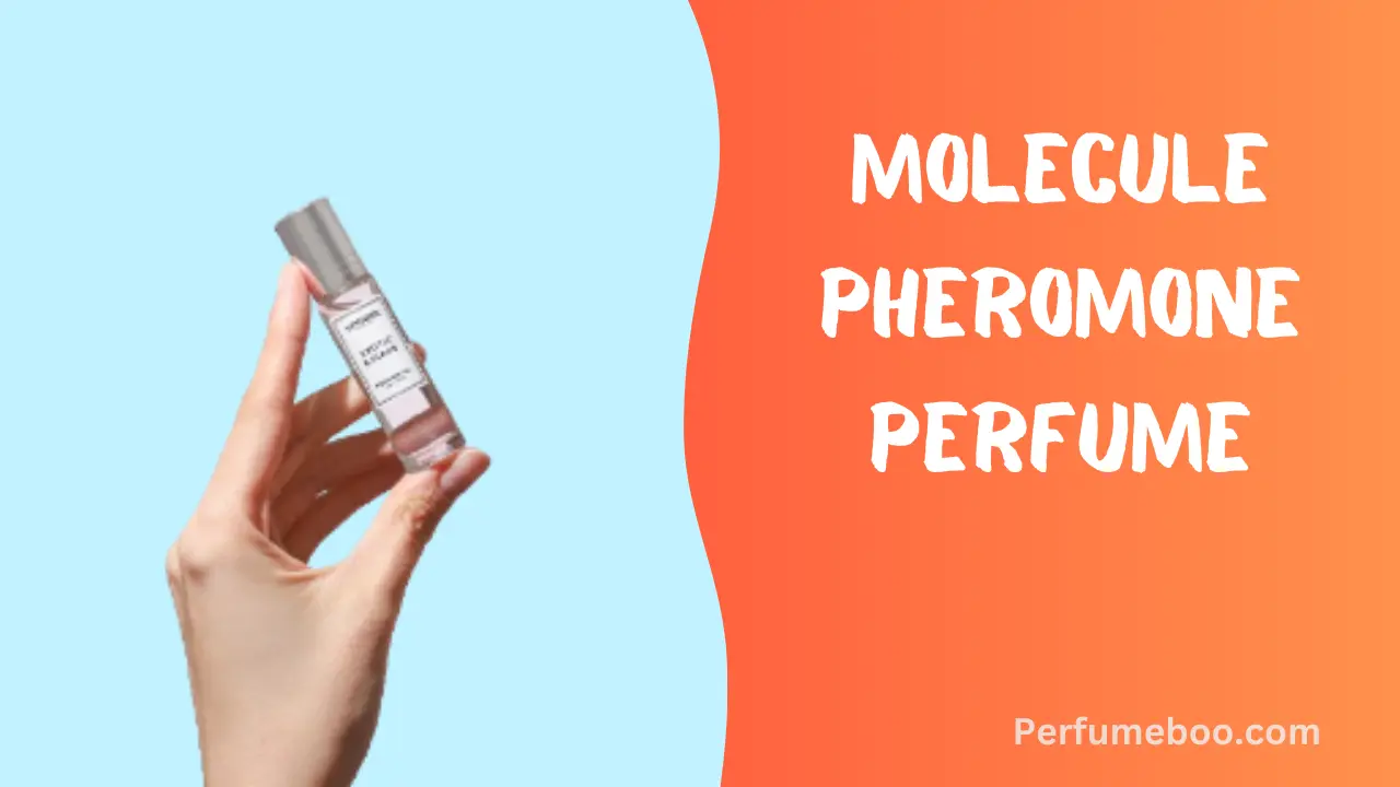 Molecule Pheromone Perfume