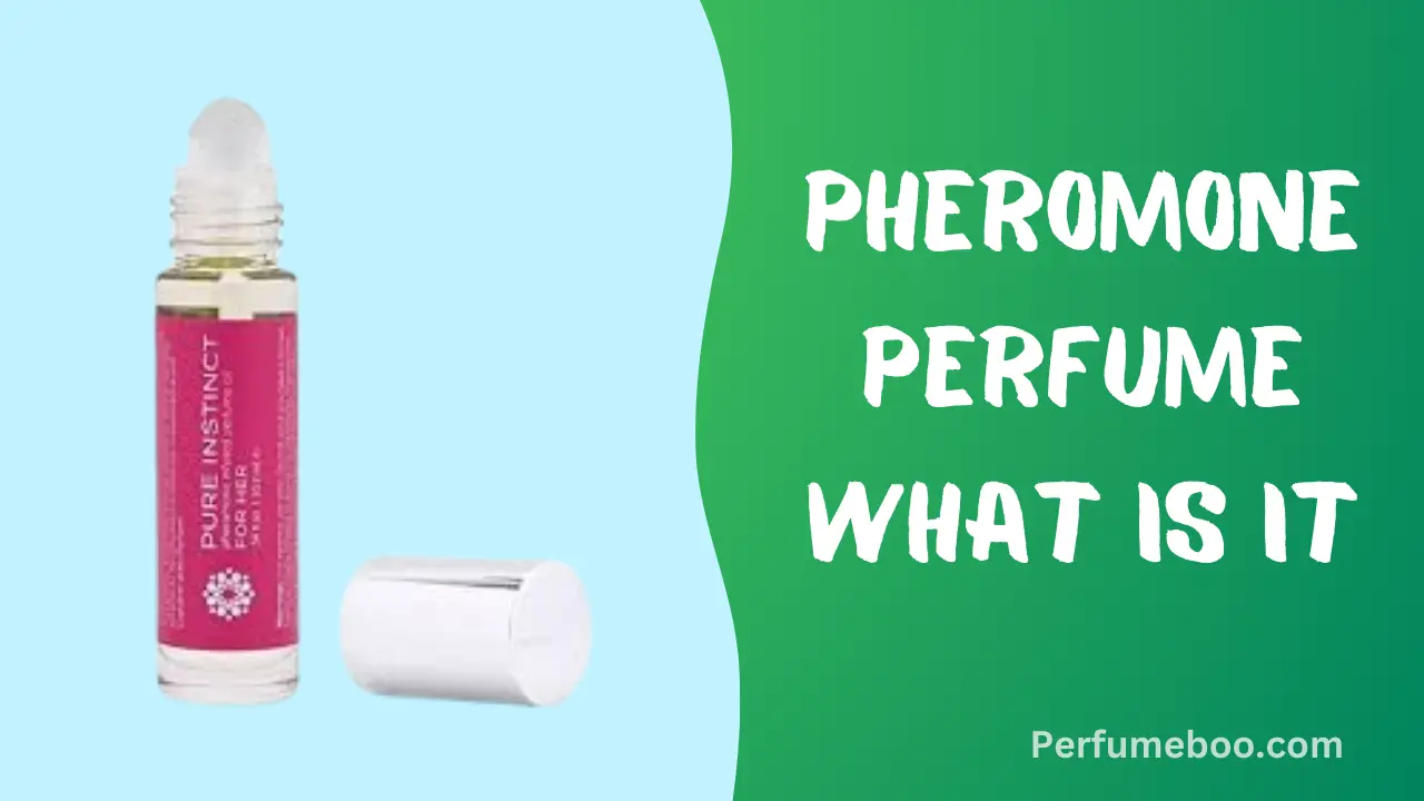 Pheromone Perfume What Is It