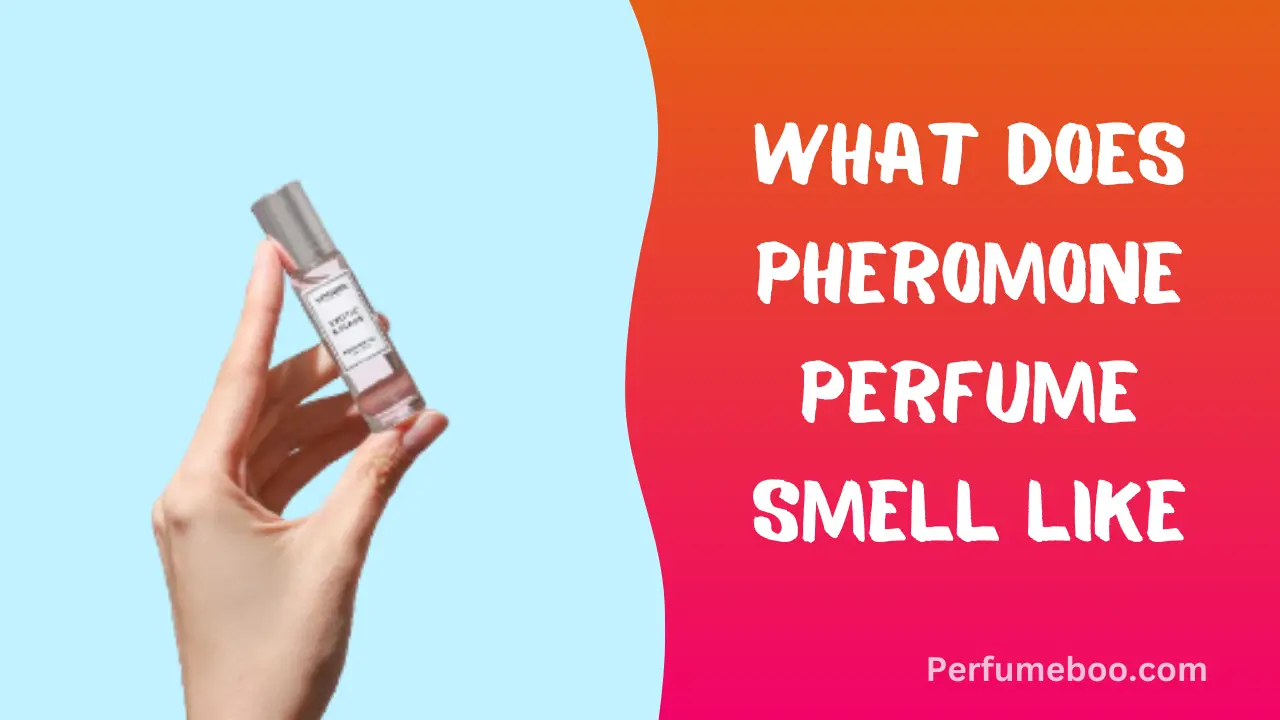 What Does Pheromone Perfume Smell Like
