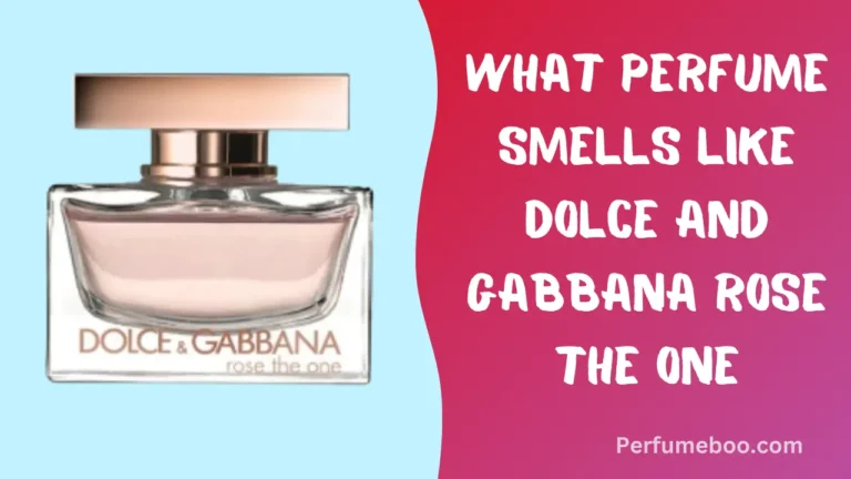 What Perfume Smells Like Dolce and Gabbana Rose The One