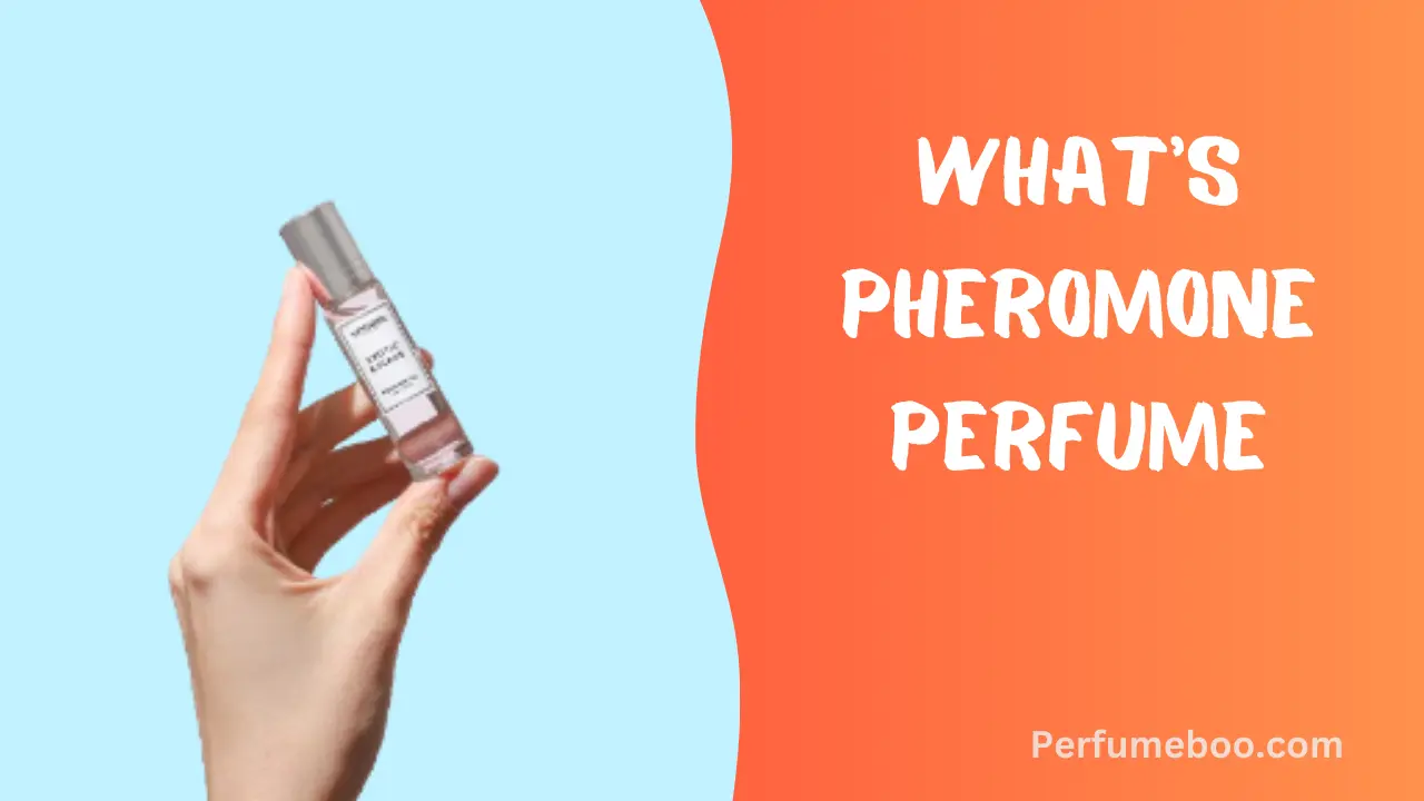 What'S Pheromone Perfume