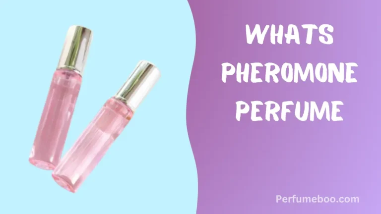 Whats Pheromone Perfume