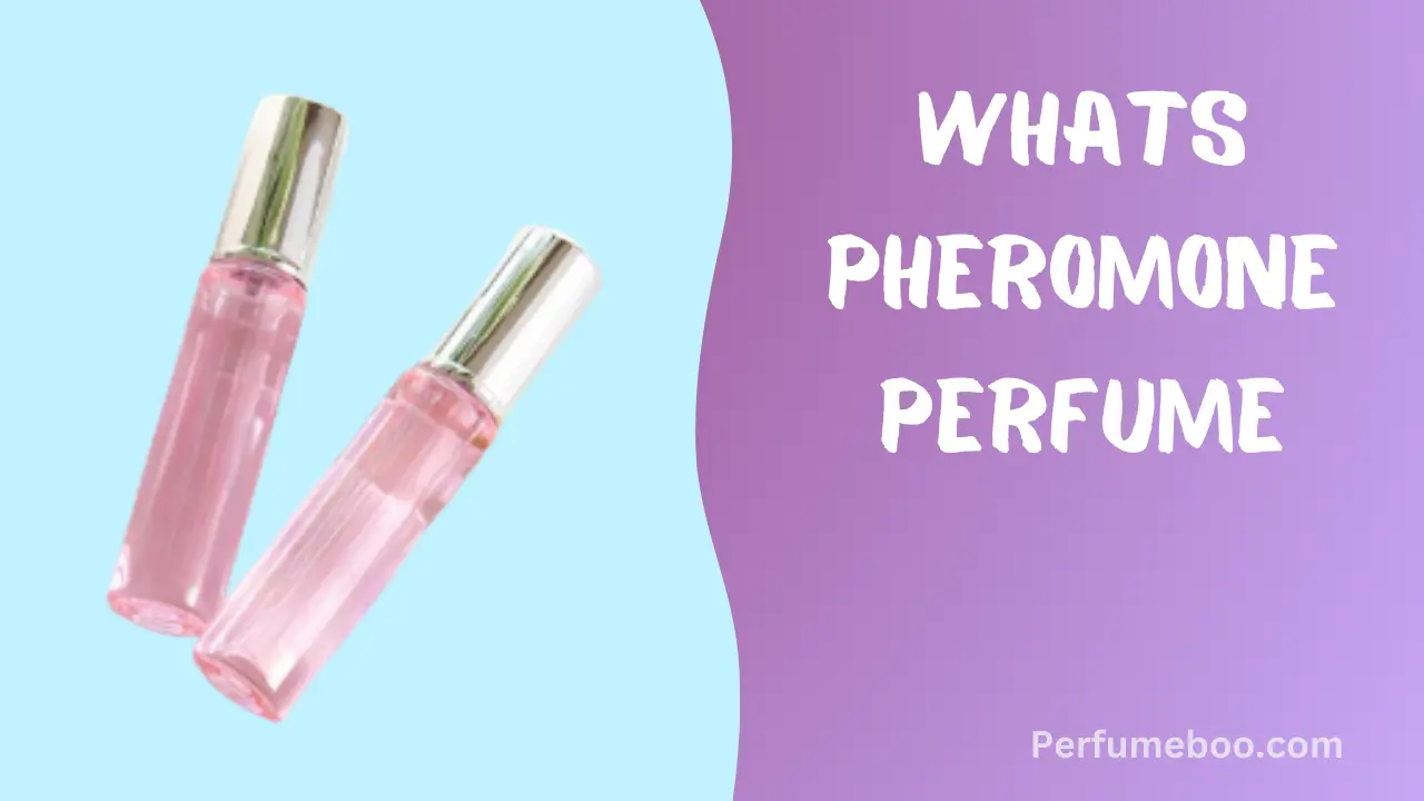Whats Pheromone Perfume