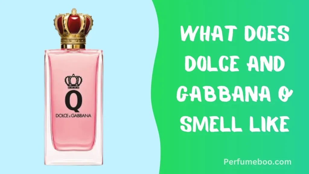 What Does Dolce and Gabbana q Smell Like